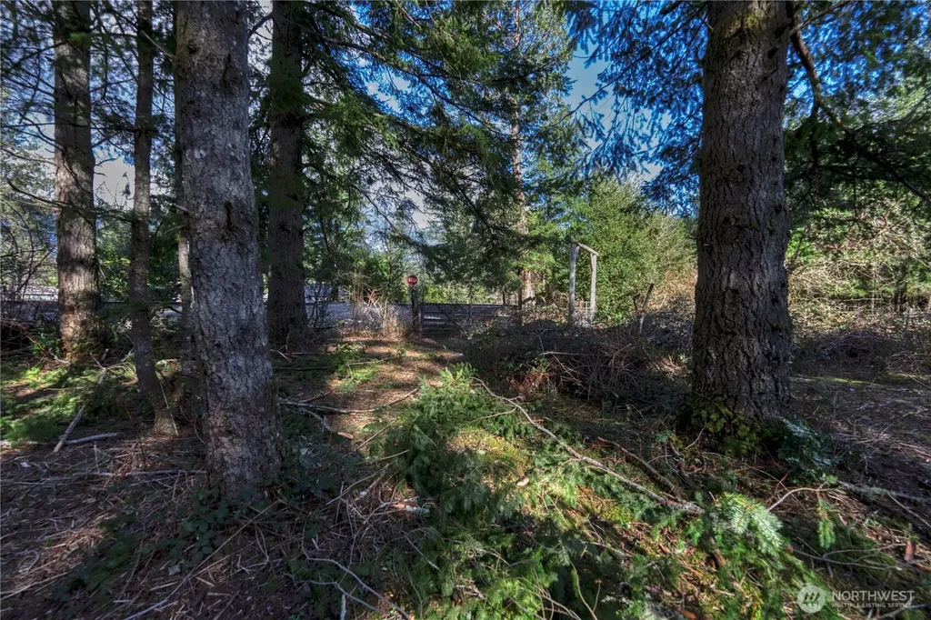 40815 Dorman Road Gold Bar WA 98251