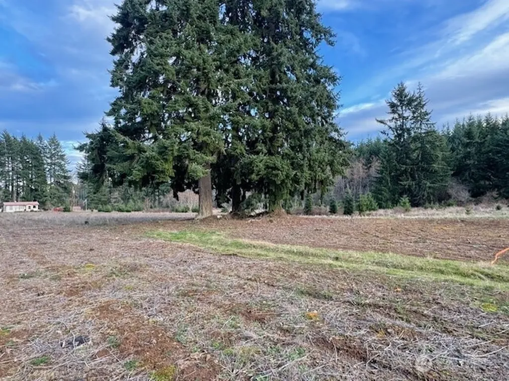 3 Brown Road Adna WA 98532