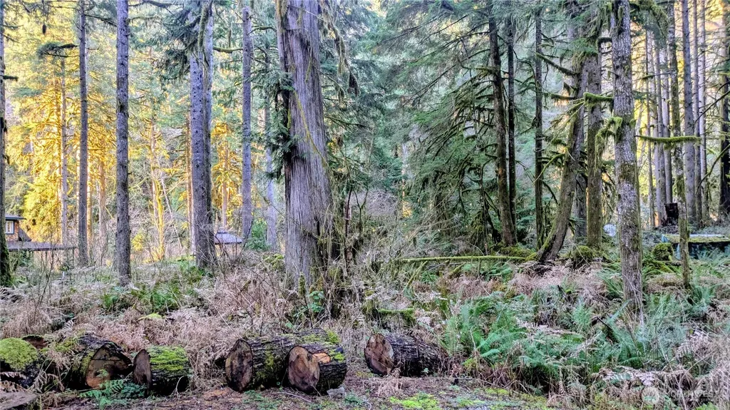 0 W Cascade Drive Marblemount WA 98267