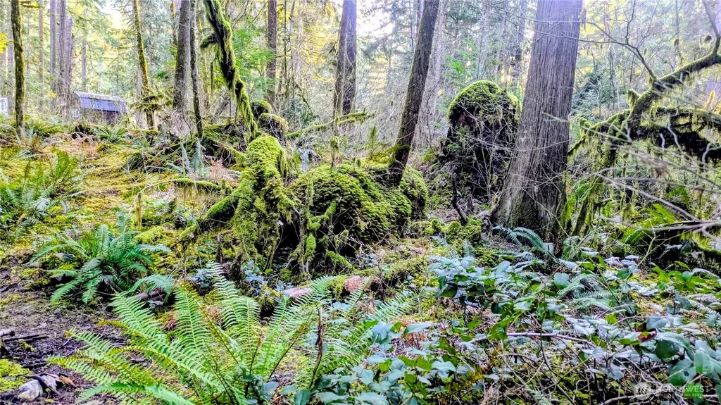 0 W Cascade Drive Marblemount WA 98267