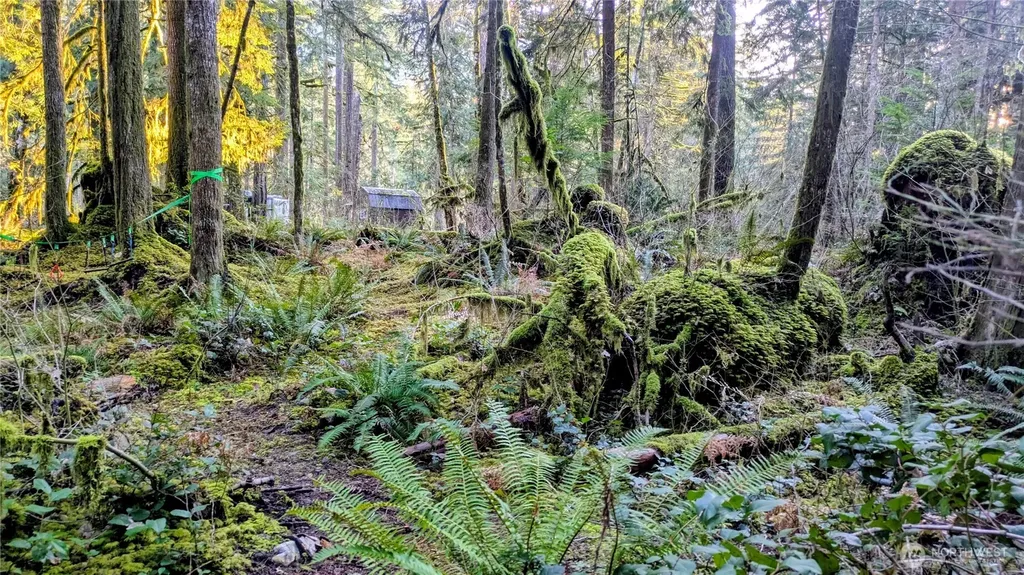 0 W Cascade Drive Marblemount WA 98267