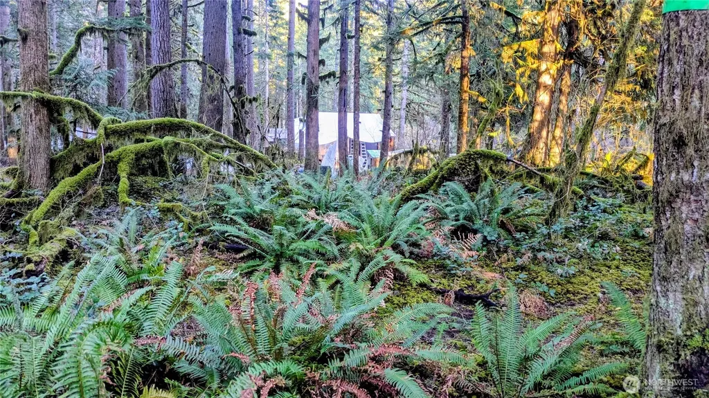 0 W Cascade Drive Marblemount WA 98267