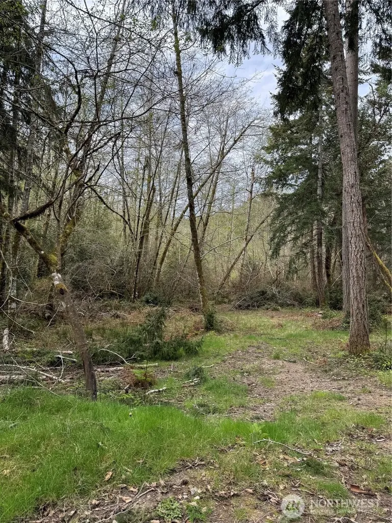 8914 130th Avenue Court Anderson Island WA 98303