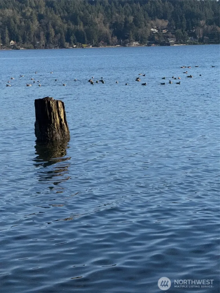5280 Illahee Road NE Bremerton WA 98311