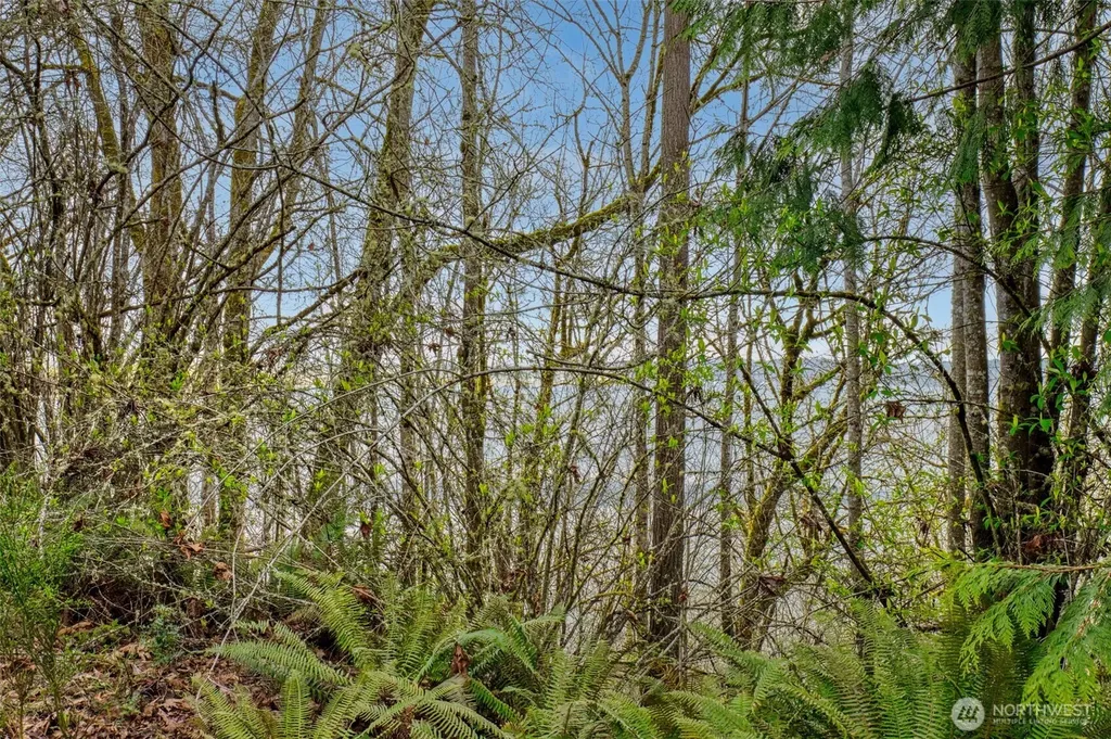 2401 NE Solar View Court Poulsbo WA 98345