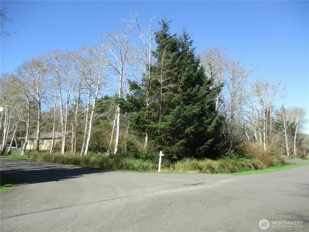 301 Olympic View Ocean Shores WA 98569