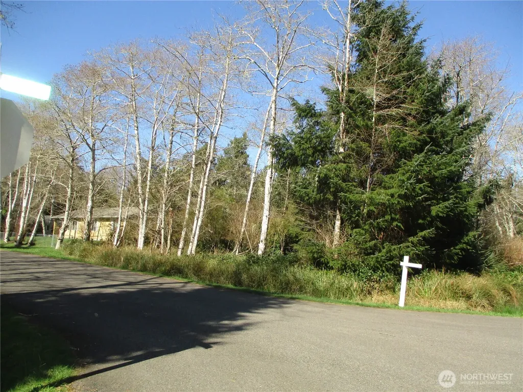 301 Olympic View Ocean Shores WA 98569