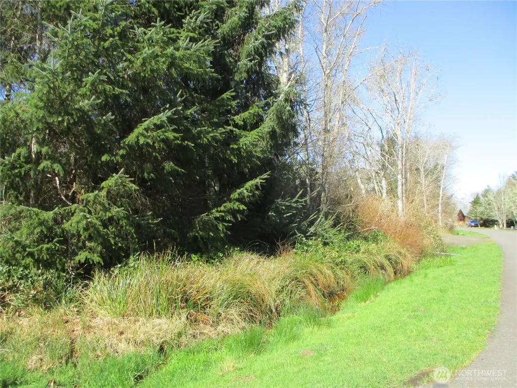 301 Olympic View Ocean Shores WA 98569