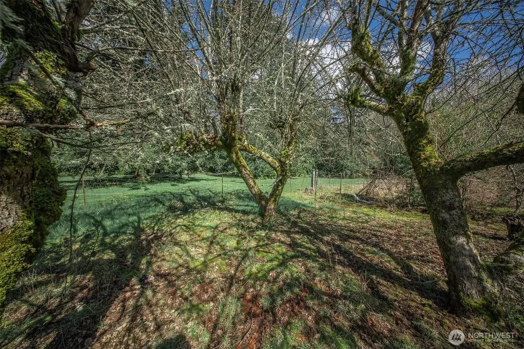 4110 Baker Ames Road NE Olympia WA 98506