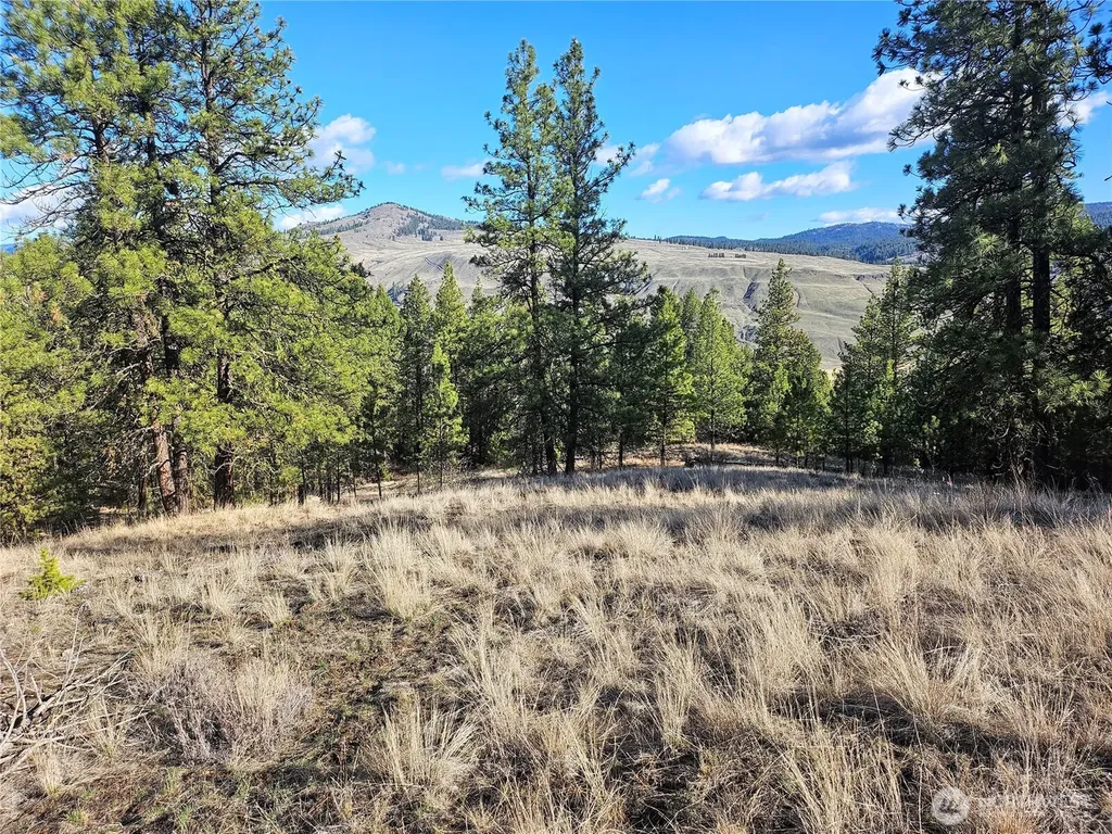 380 Lot Chopaka Tbd Road Tonasket WA 98855