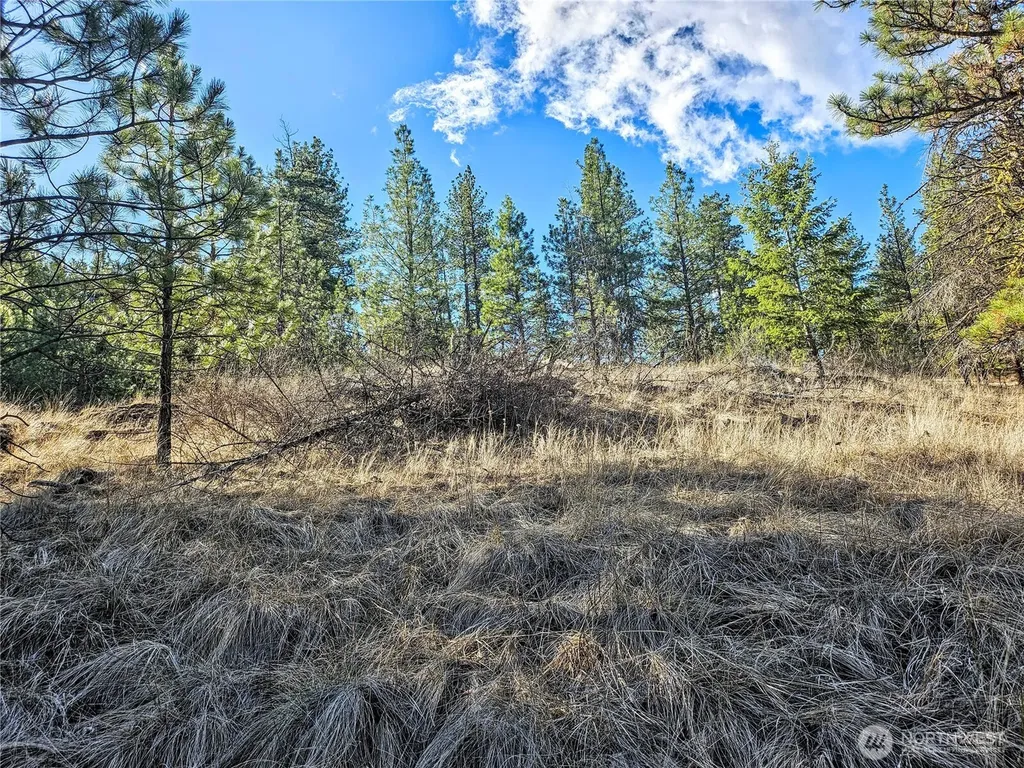 380 Lot Chopaka Tbd Road Tonasket WA 98855