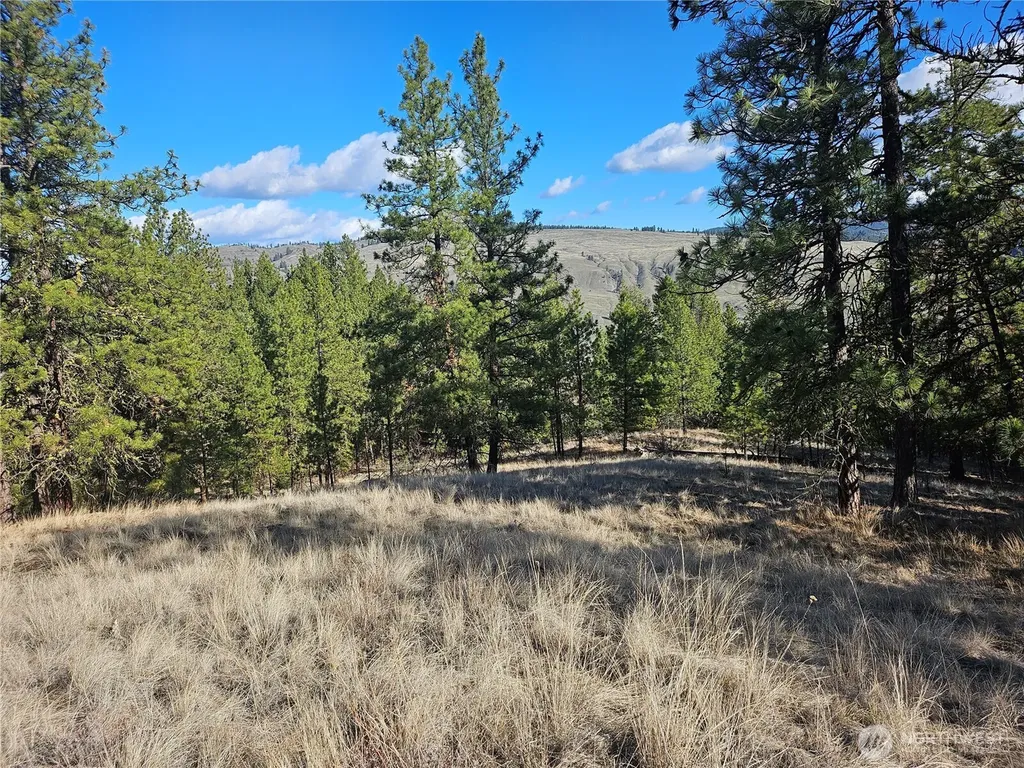 380 Lot Chopaka Tbd Road Tonasket WA 98855