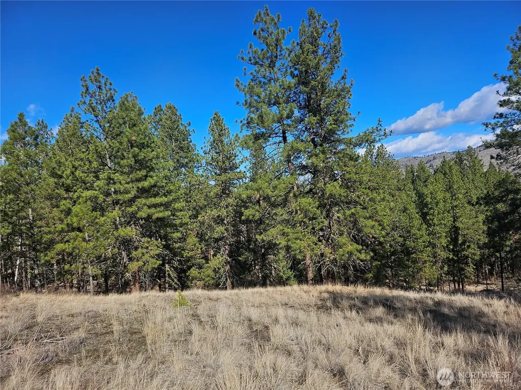 380 Lot Chopaka Tbd Road Tonasket WA 98855