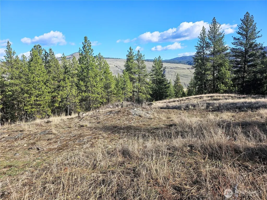 380 Lot Chopaka Tbd Road Tonasket WA 98855