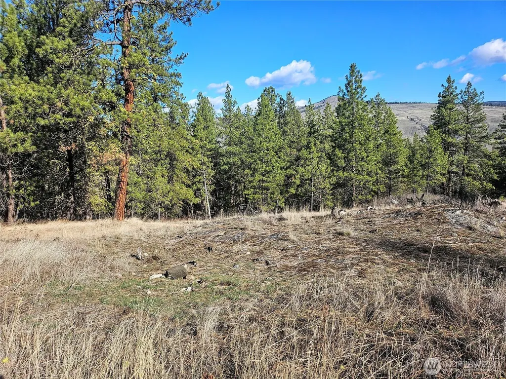 380 Lot Chopaka Tbd Road Tonasket WA 98855