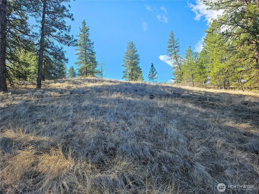 380 Lot Chopaka Tbd Road Tonasket WA 98855