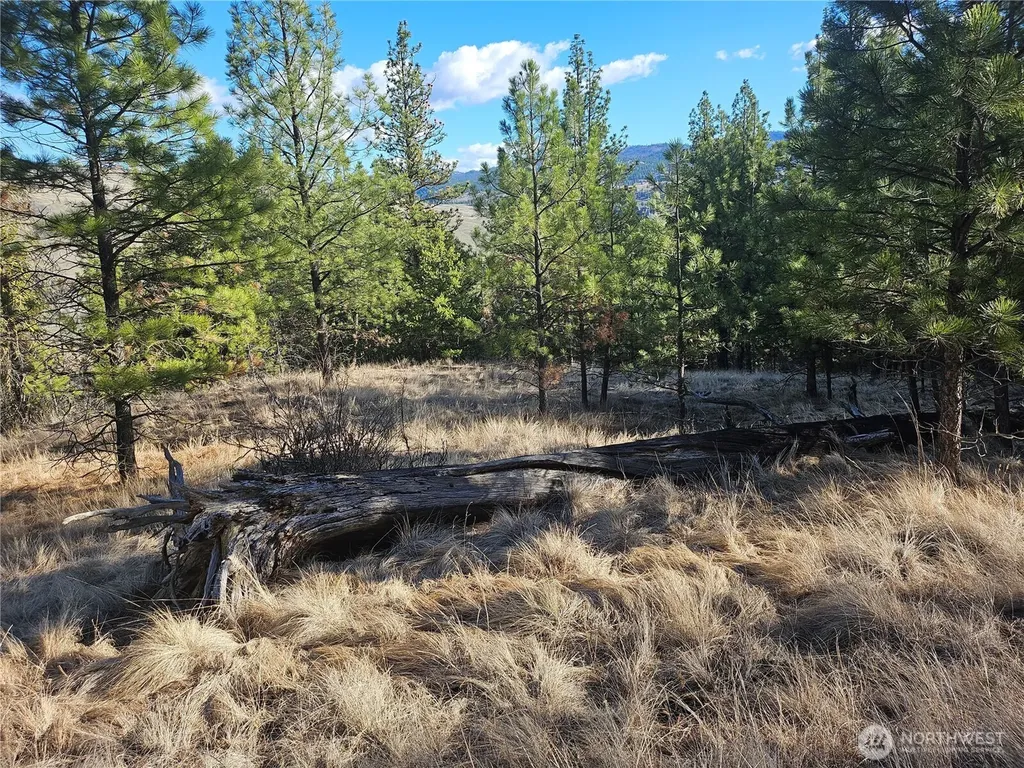 380 Lot Chopaka Tbd Road Tonasket WA 98855