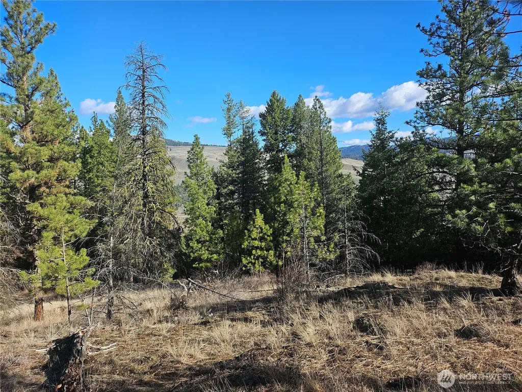 380 Lot Chopaka Tbd Road Tonasket WA 98855