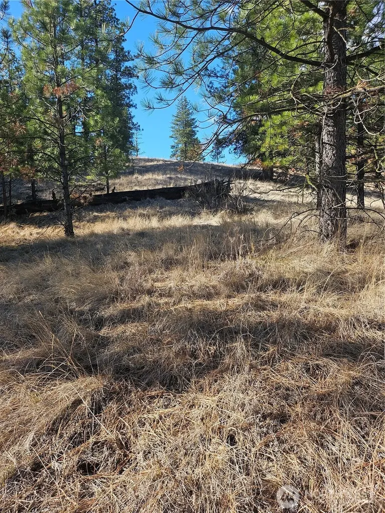 380 Lot Chopaka Tbd Road Tonasket WA 98855