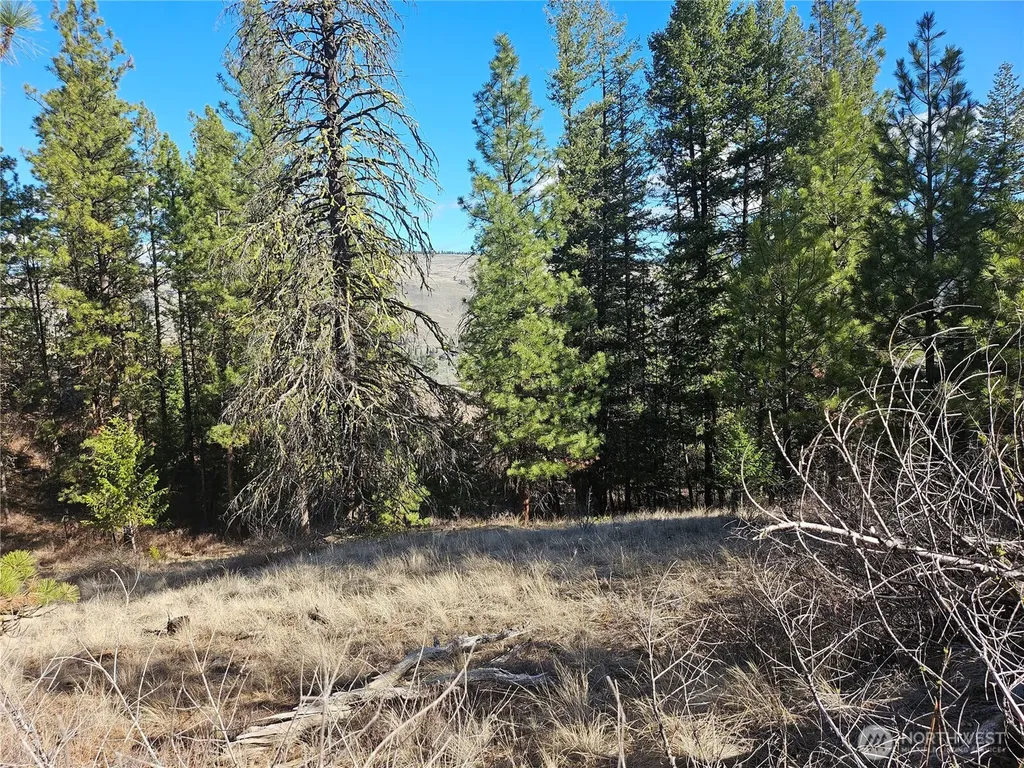 380 Lot Chopaka Tbd Road Tonasket WA 98855