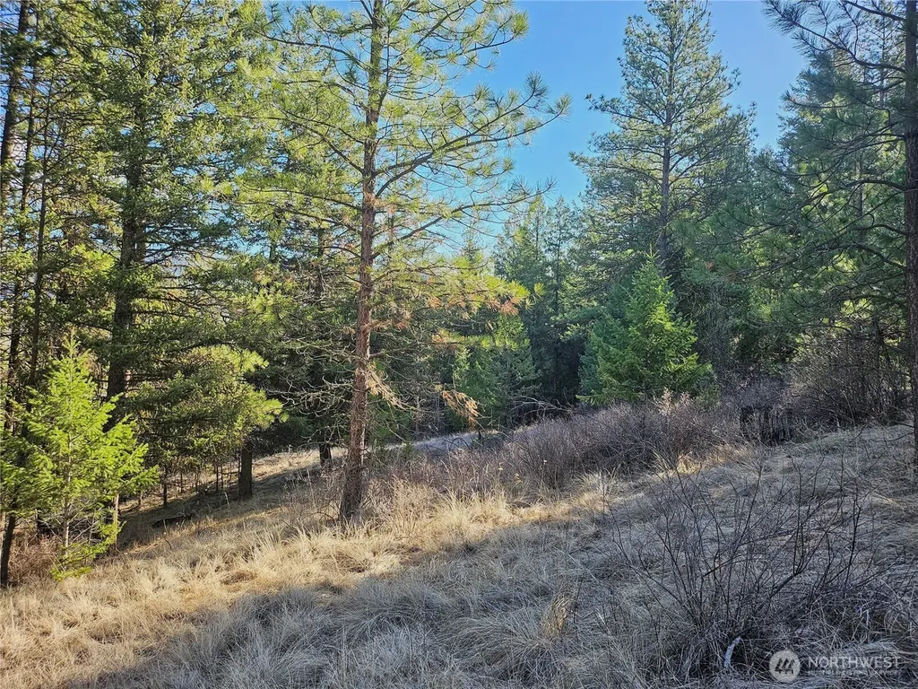 380 Lot Chopaka Tbd Road Tonasket WA 98855