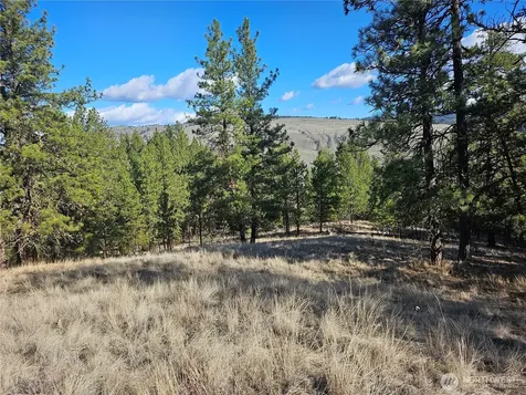 380 Lot Chopaka Tbd Road Tonasket WA 98855