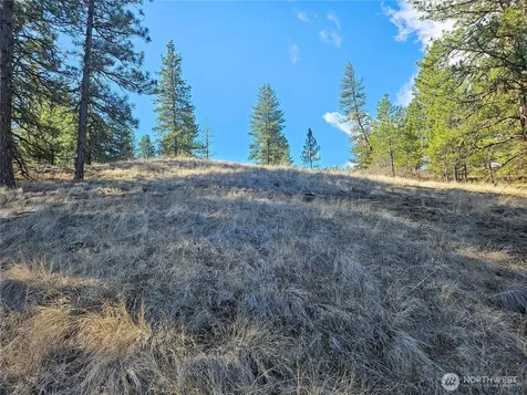 380 Lot Chopaka Tbd Road Tonasket WA 98855