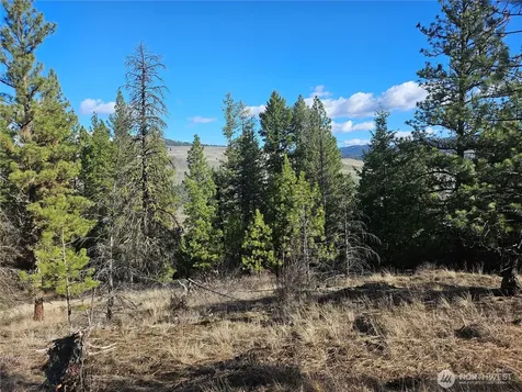 380 Lot Chopaka Tbd Road Tonasket WA 98855