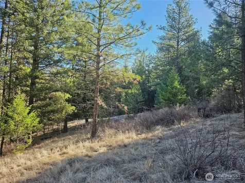 380 Lot Chopaka Tbd Road Tonasket WA 98855