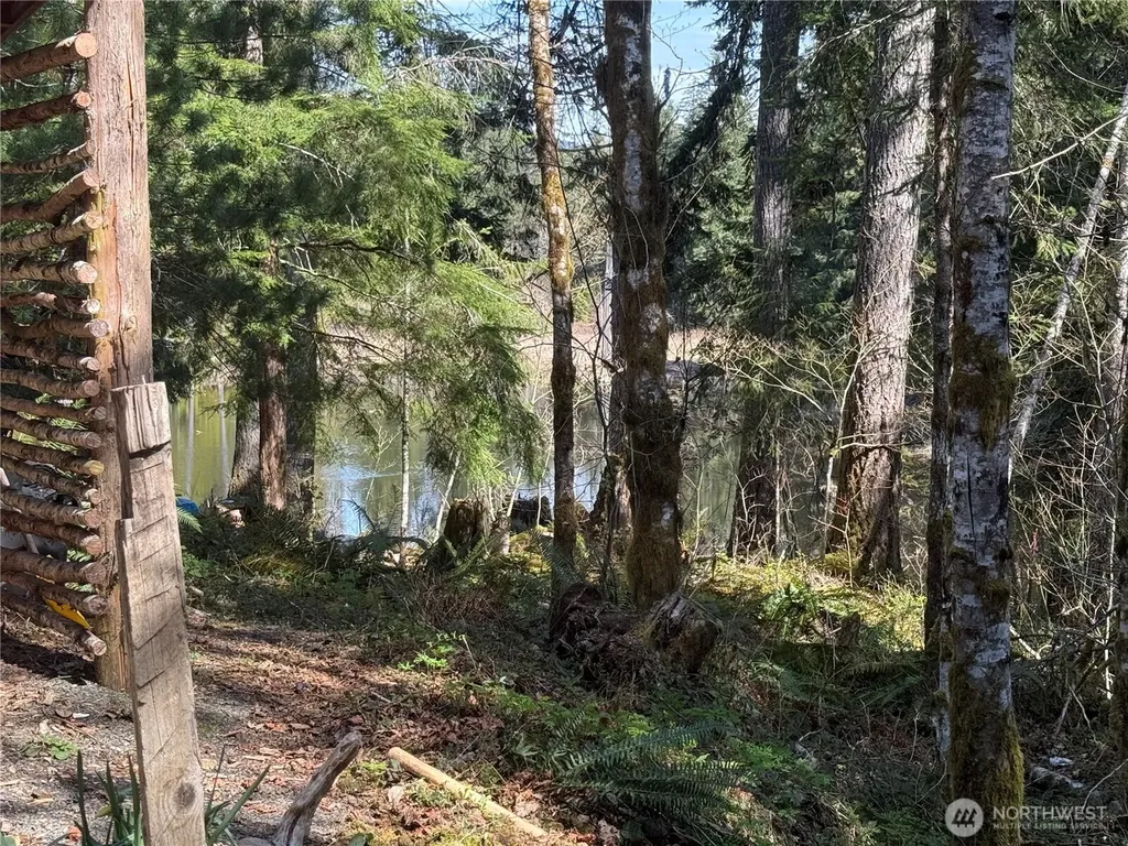 961 N Potlatch Drive Hoodsport WA 98548