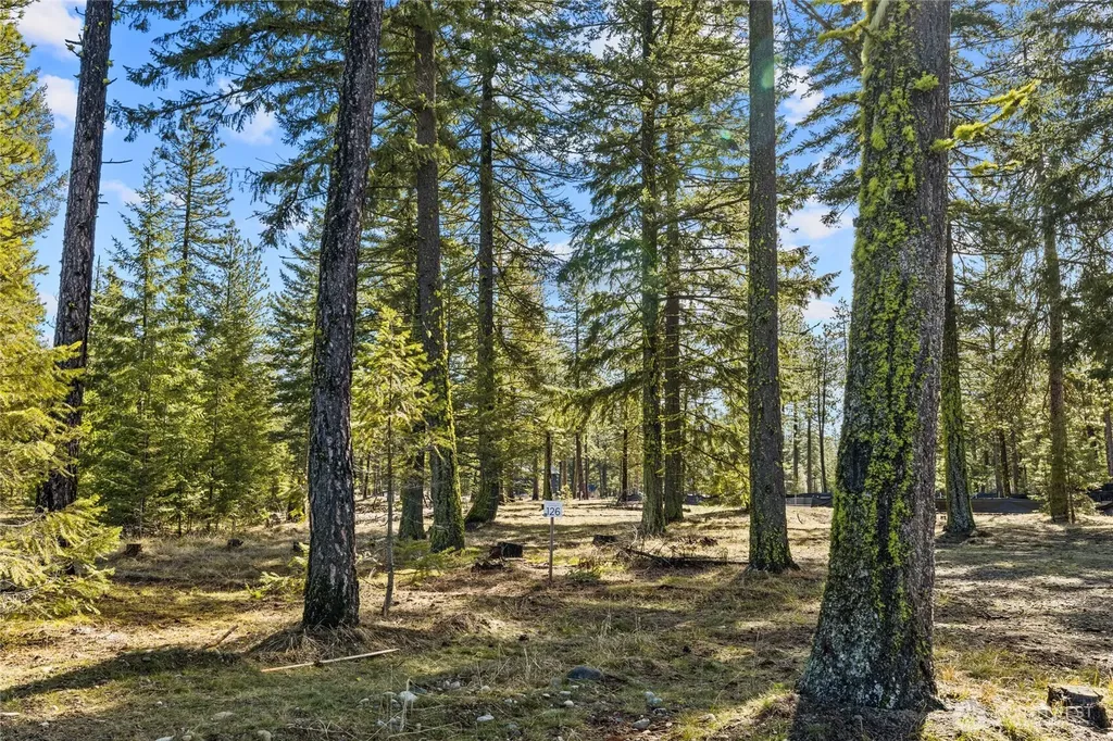 126 Wanawish Cle Elum WA 98922