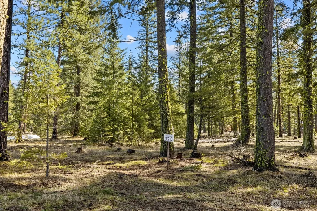 126 Wanawish Cle Elum WA 98922