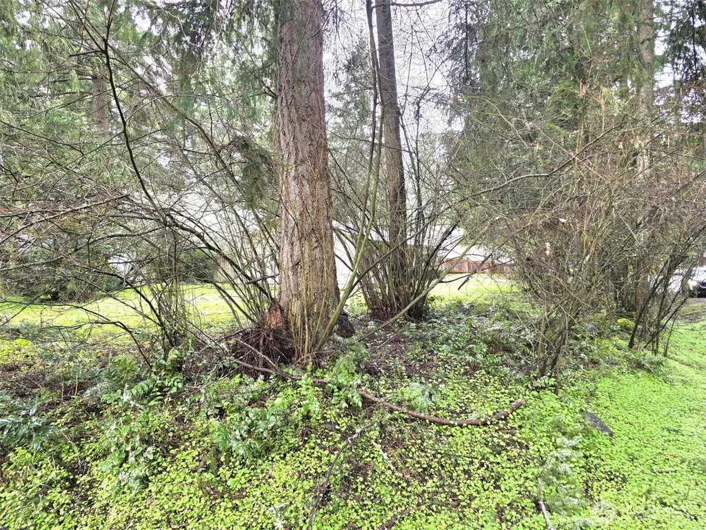 17819 Upland Drive SE Yelm WA 98597