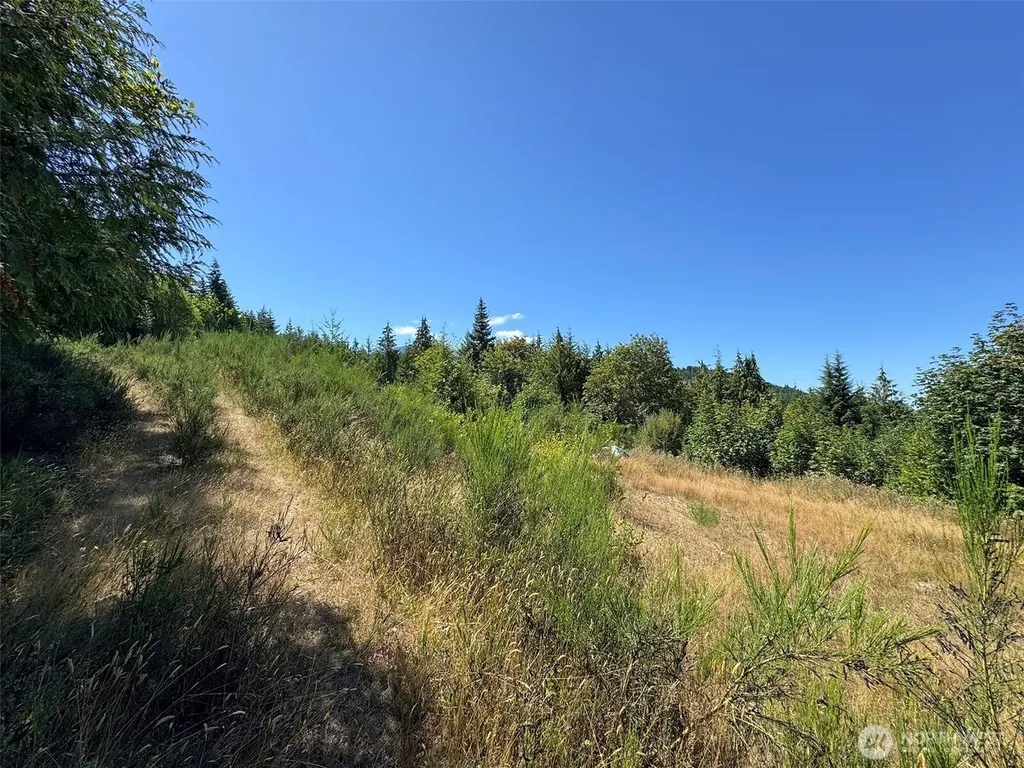 596 Watershed Port Angeles WA 98362