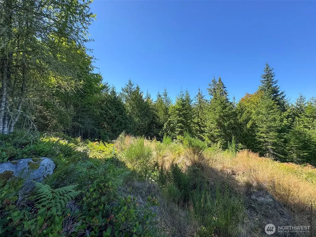 596 Watershed Port Angeles WA 98362
