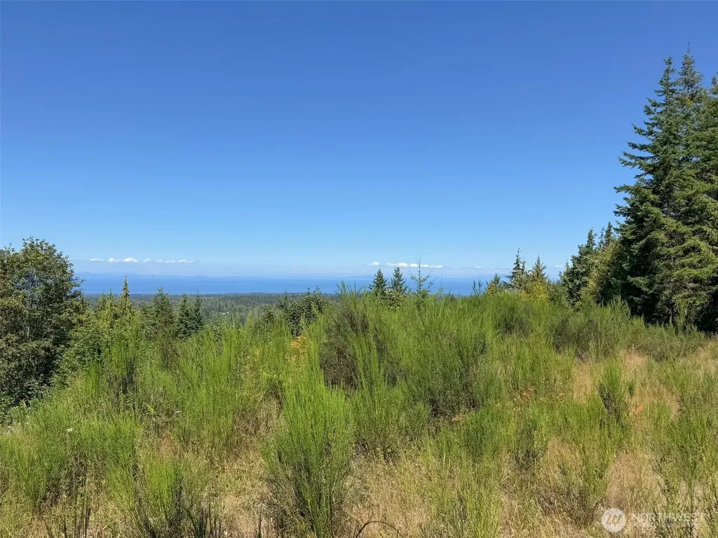 596 Watershed Port Angeles WA 98362