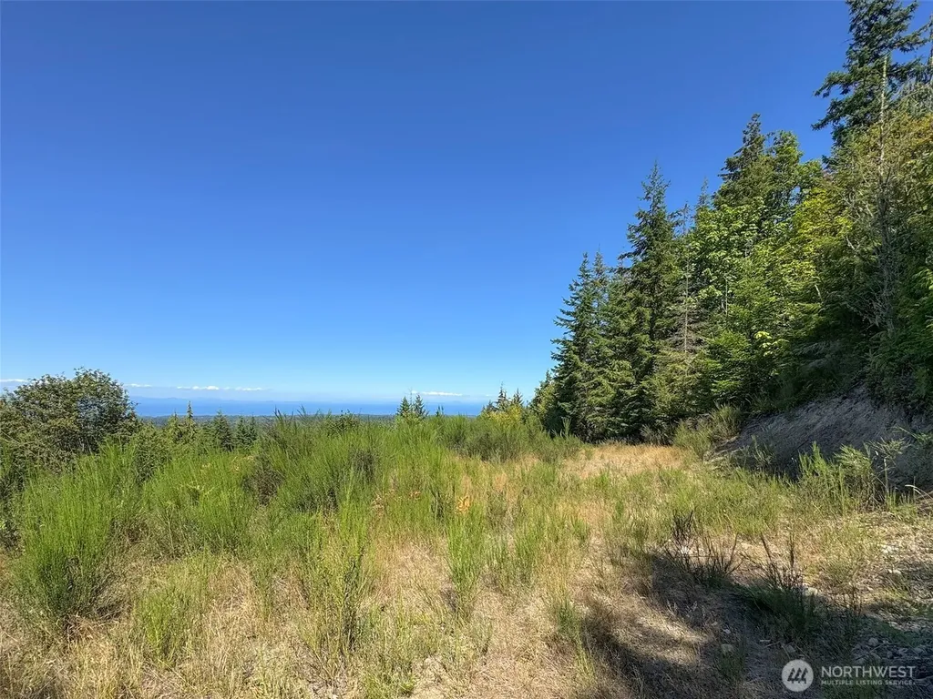 596 Watershed Port Angeles WA 98362