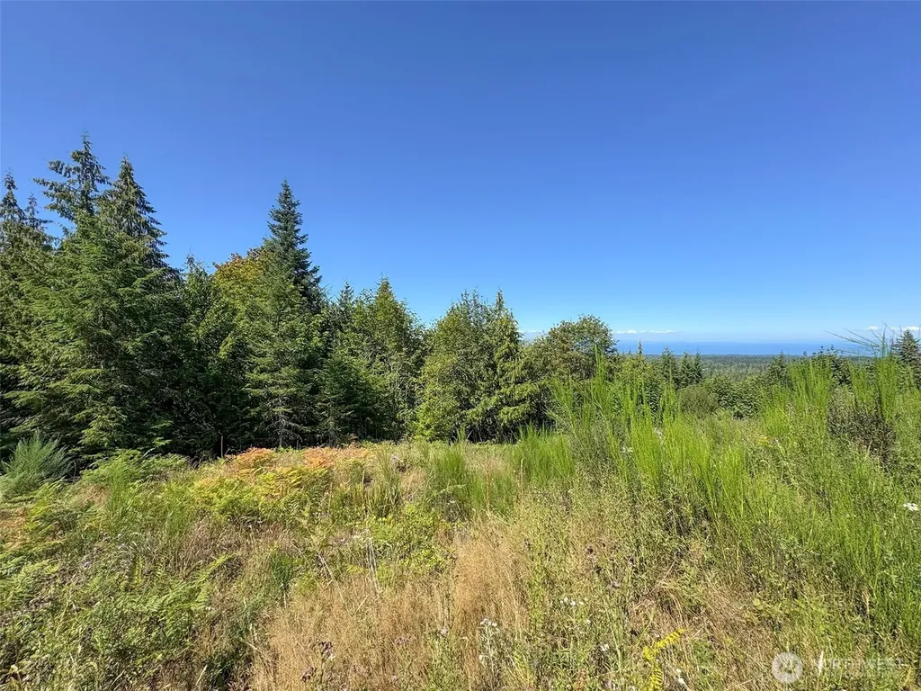 596 Watershed Port Angeles WA 98362