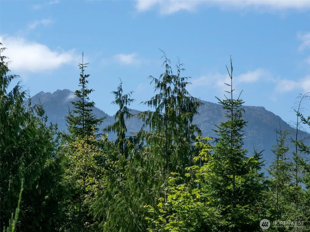 596 Watershed Port Angeles WA 98362
