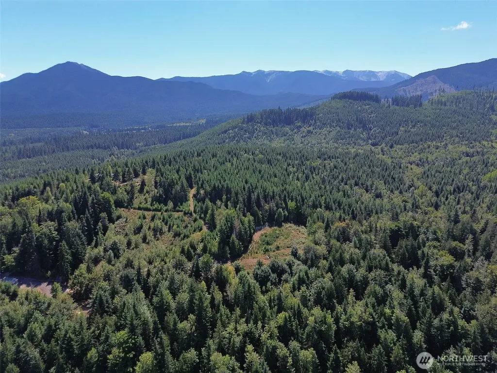 596 Watershed Port Angeles WA 98362