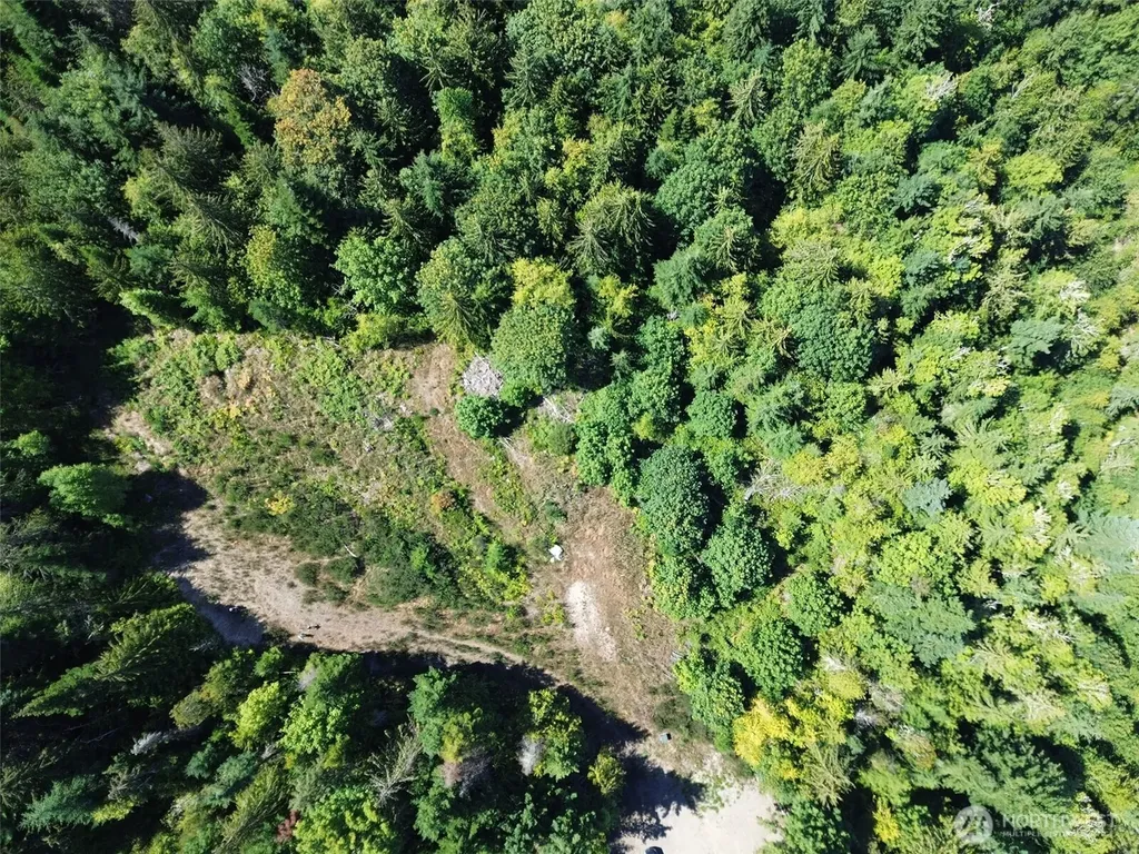596 Watershed Port Angeles WA 98362