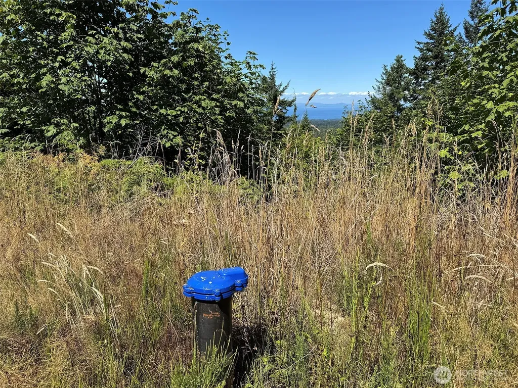 596 Watershed Port Angeles WA 98362