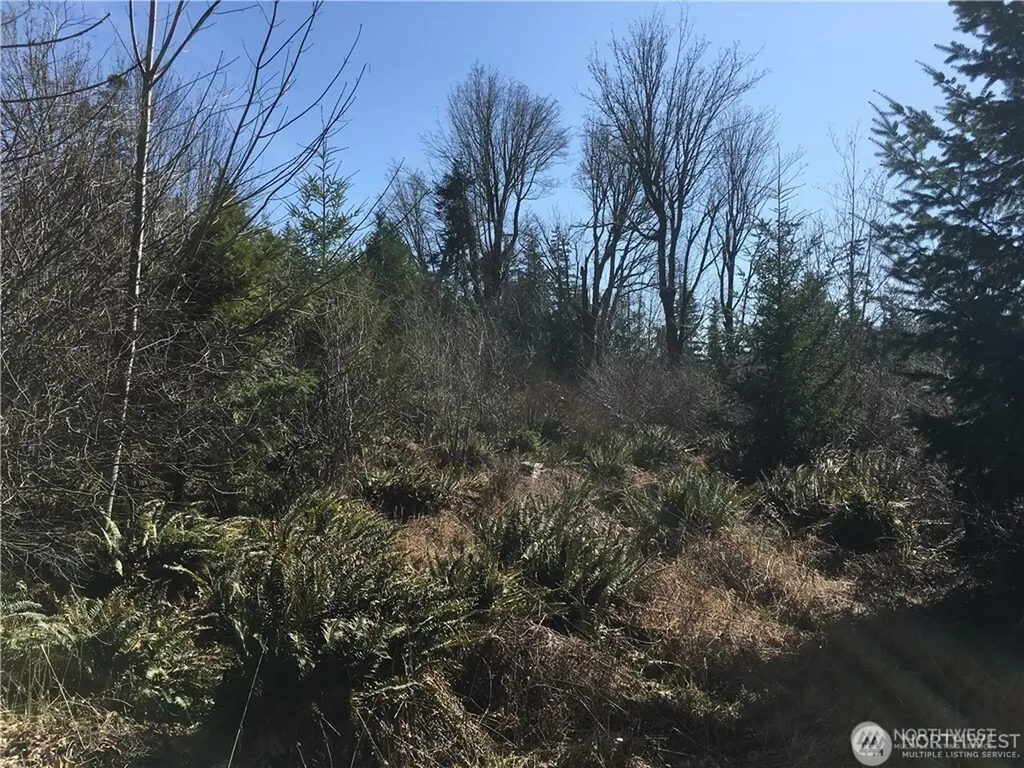 0 Summit Lake Road NW Olympia WA 98502