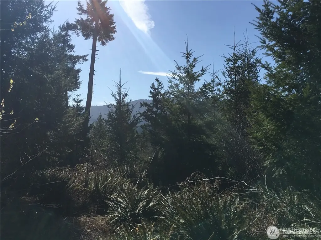 0 Summit Lake Road NW Olympia WA 98502