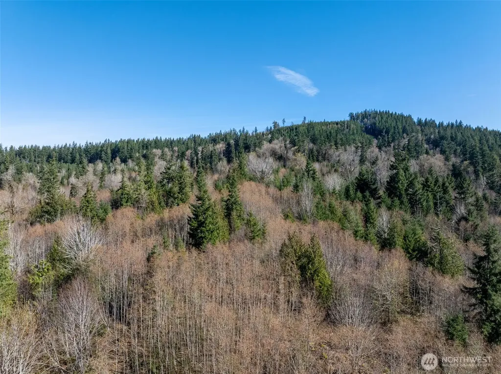 0 Summit Lake Road NW Olympia WA 98502