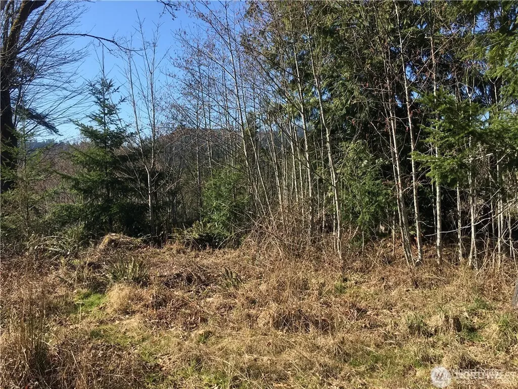 0 Summit Lake Road NW Olympia WA 98502