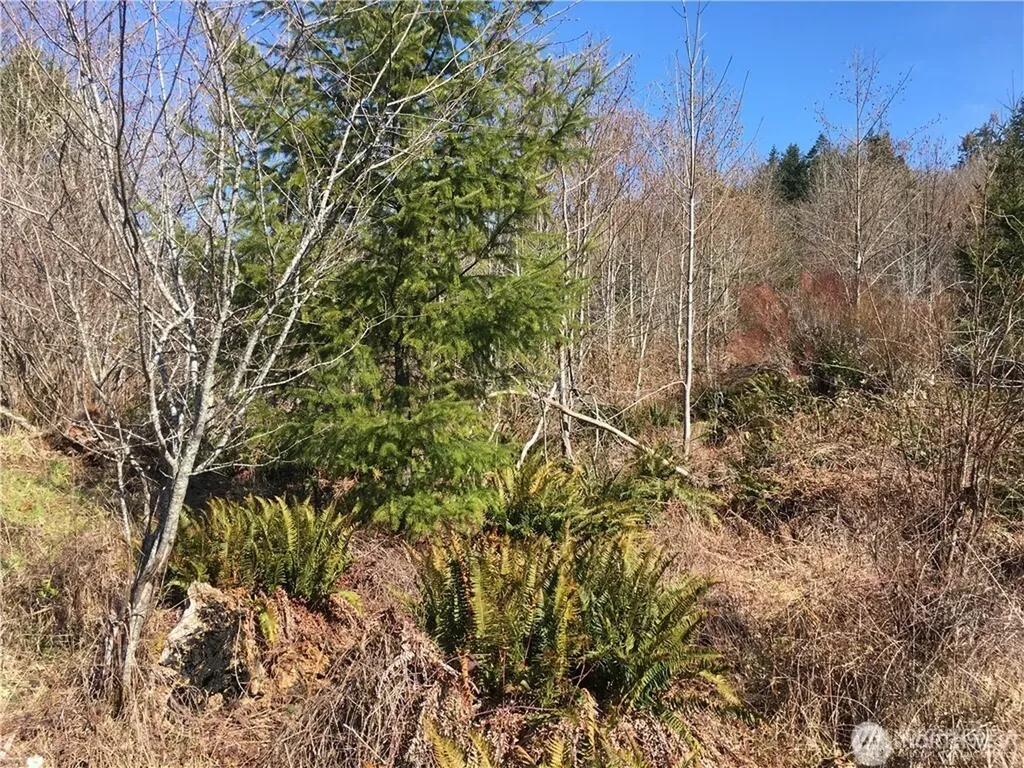 0 Summit Lake Road NW Olympia WA 98502