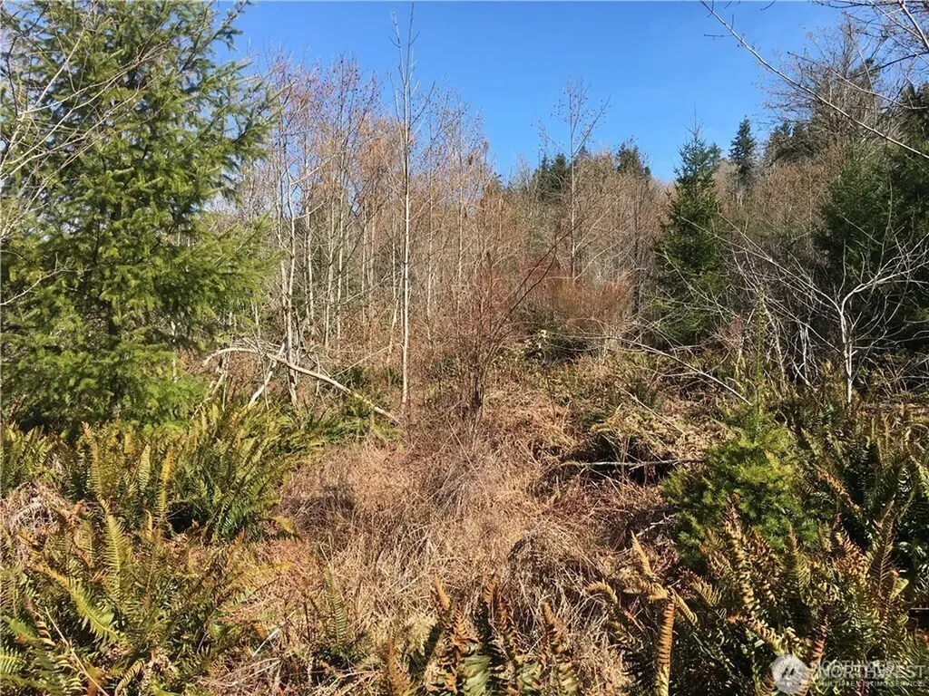 0 Summit Lake Road NW Olympia WA 98502