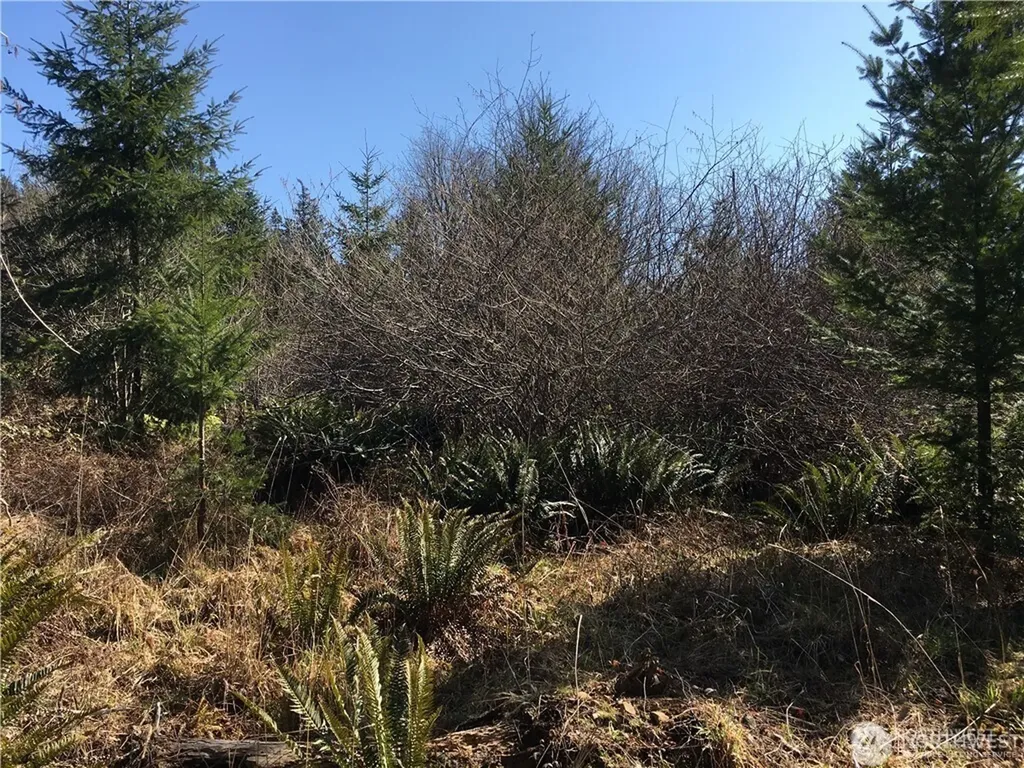 0 Summit Lake Road NW Olympia WA 98502