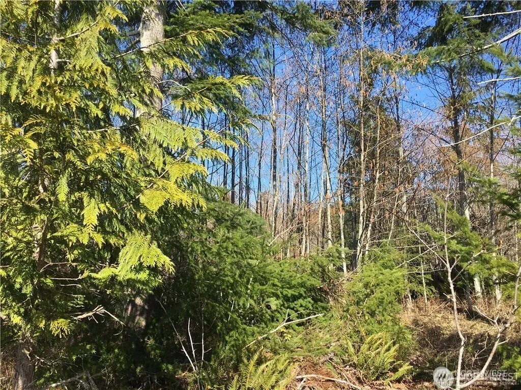0 Summit Lake Road NW Olympia WA 98502